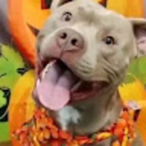 Meet your Posher, Jesse